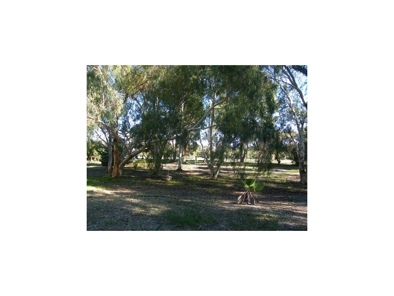 31 Timely Hostess Mews, Mariginiup WA 6065