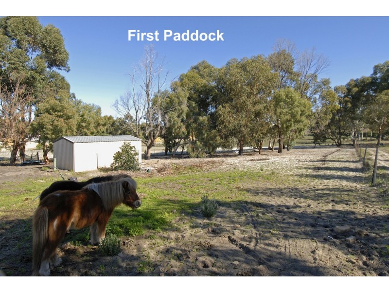 49 Sovereign Hill Drive, Gabbadah WA 6041