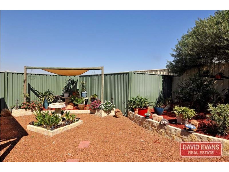 1 Tussock Elbow, Banksia Grove WA 6031