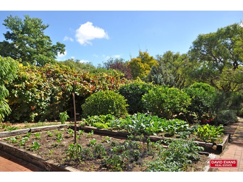 68 Farmhouse Link, Two Rocks WA 6037