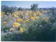 Lot 113 Paini Way, Jandabup WA 6065
