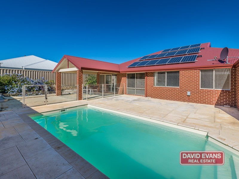 5 Ammanford Crescent, Butler WA 6036