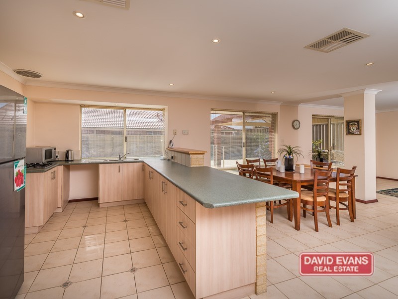 5 Ammanford Crescent, Butler WA 6036