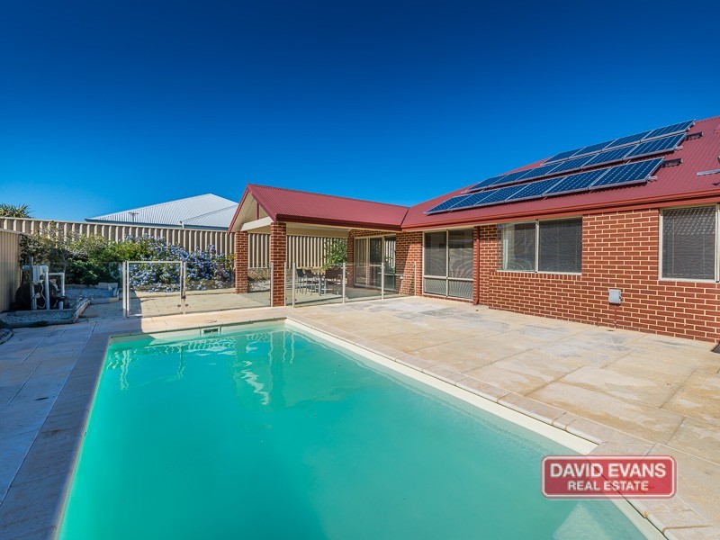 5 Ammanford Crescent, Butler WA 6036
