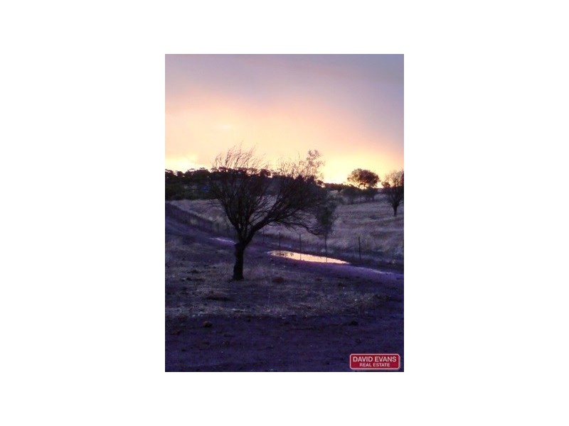 42 Ferguson Road, Toodyay WA 6566