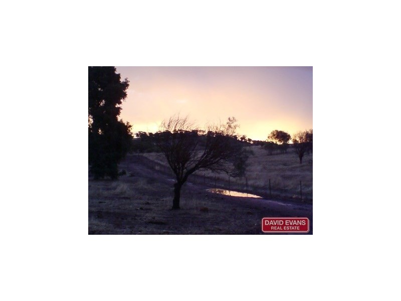 42 Ferguson Road, Toodyay WA 6566