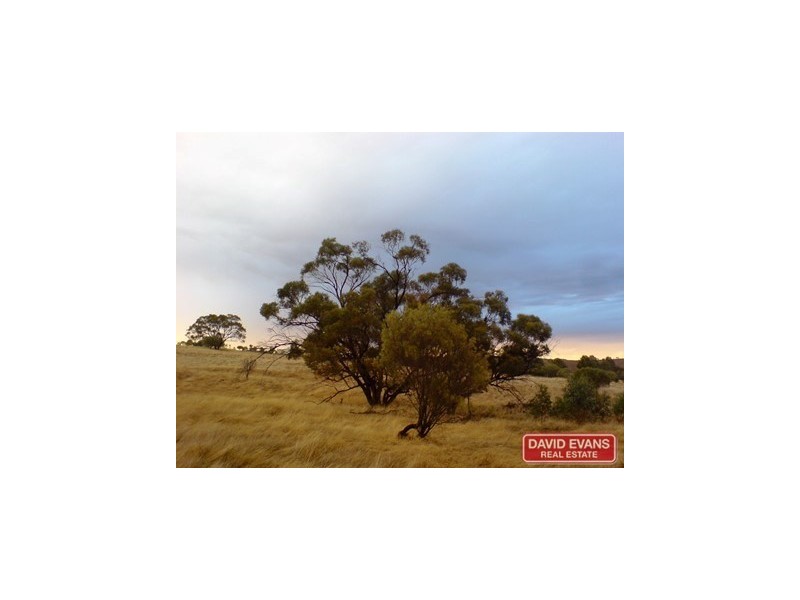 42 Ferguson Road, Toodyay WA 6566