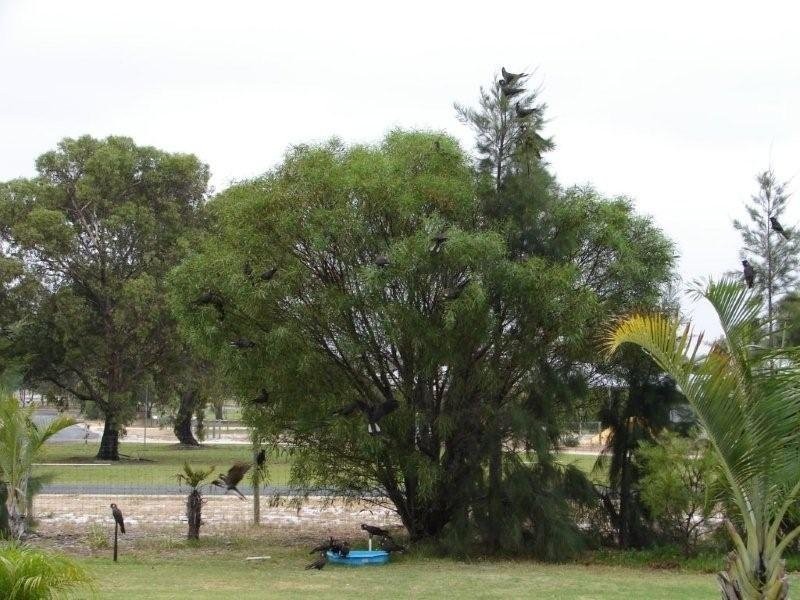 2 Bronzewing Grove, Mariginiup WA 6065