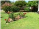290 Morley Drive, Eden Hill WA 6054