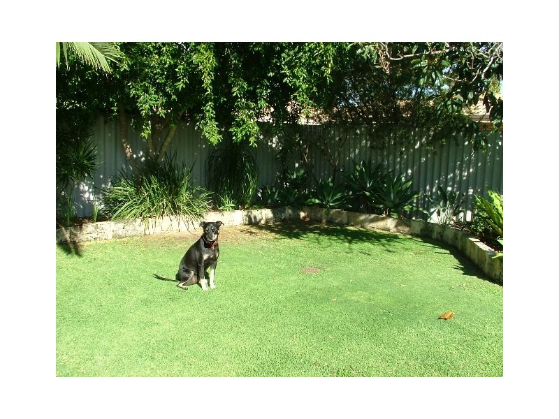 22A Sylvia Street, Balcatta WA 6021