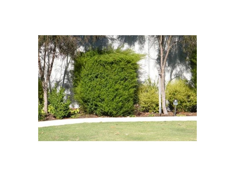 24B Connell Way, Girrawheen WA 6064