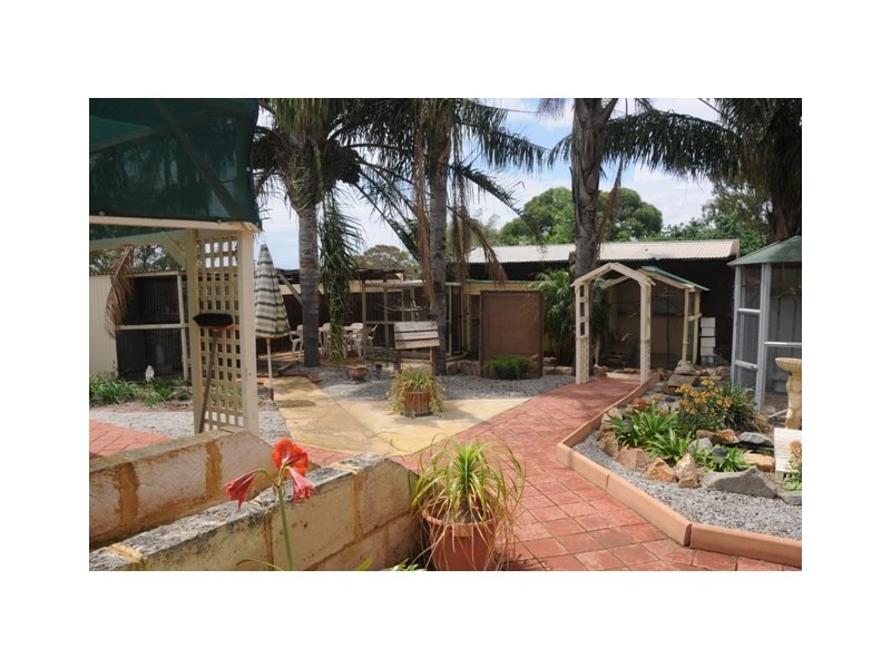 56  James Street, Goomalling WA 6460