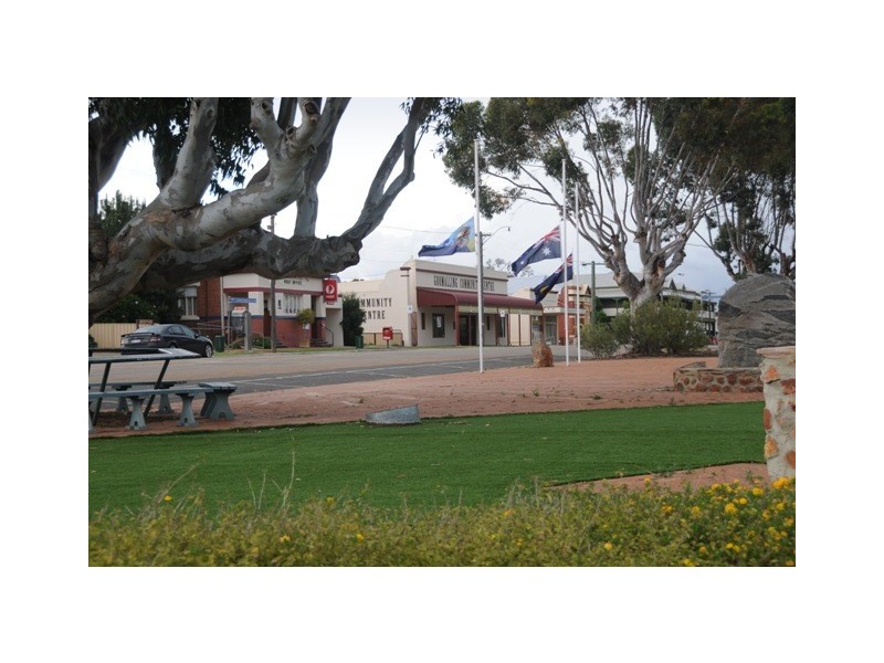 56  James Street, Goomalling WA 6460