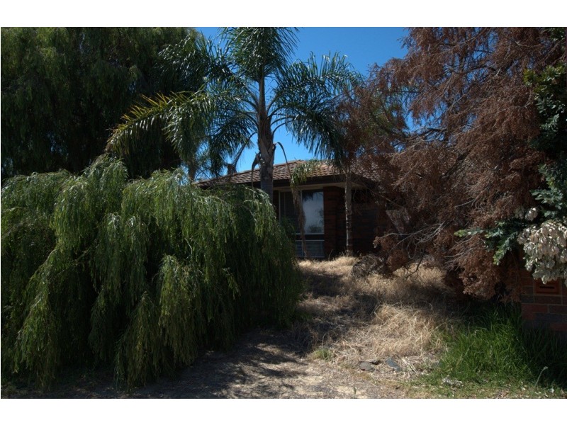 34 Fernlea Street, Warwick WA 6024