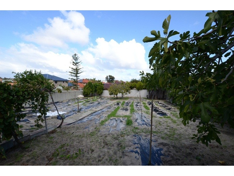 184 Amelia Street, Balcatta WA 6021