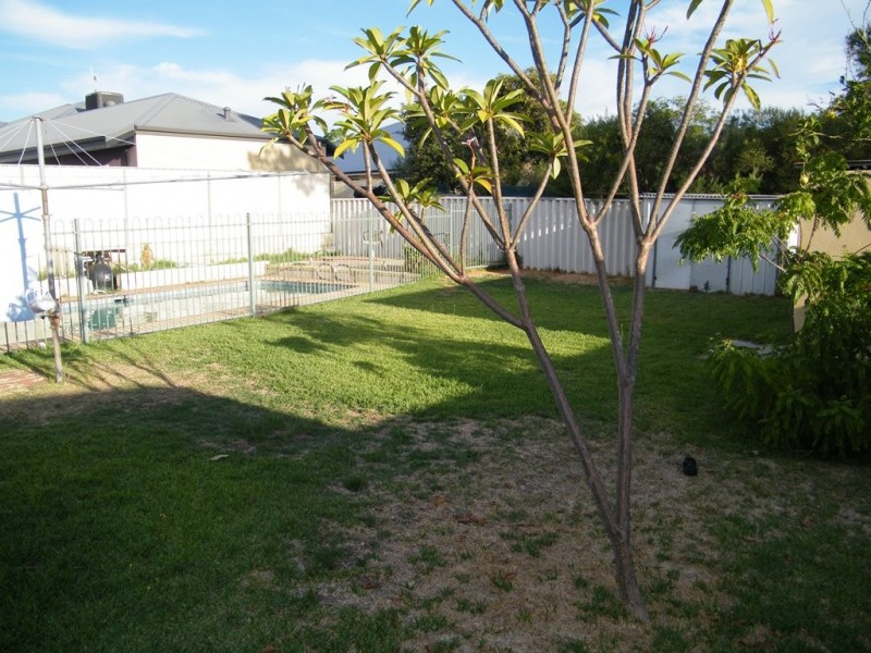 34 Glenwood Way, Balcatta WA 6021