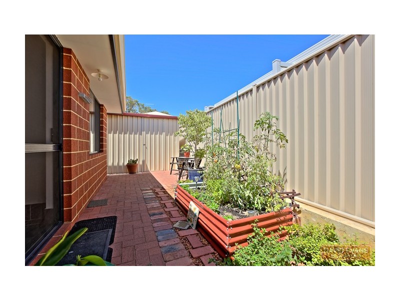 6 Ewood Pass, Baldivis WA 6171