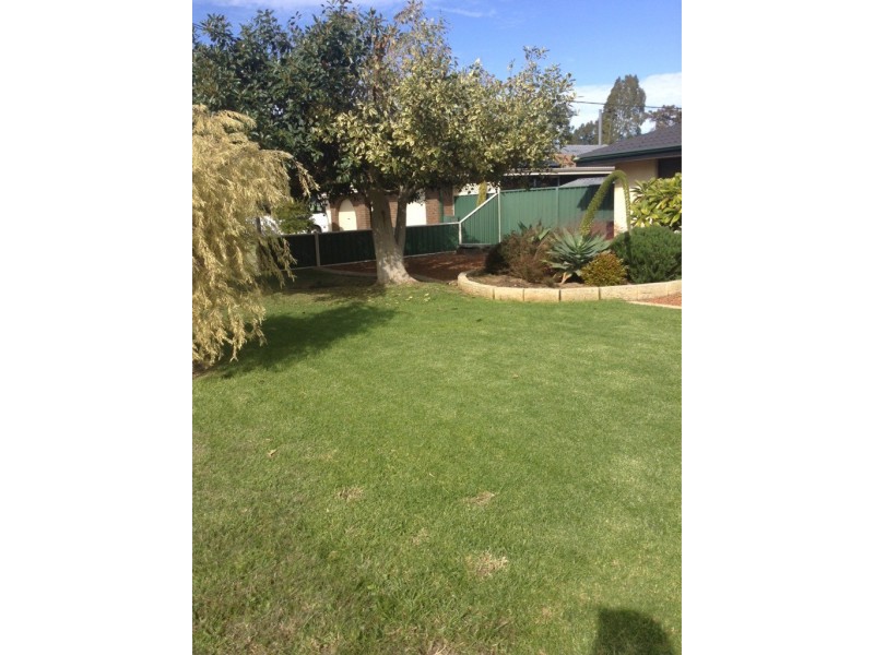 17 Cowan Street, Armadale WA 6112