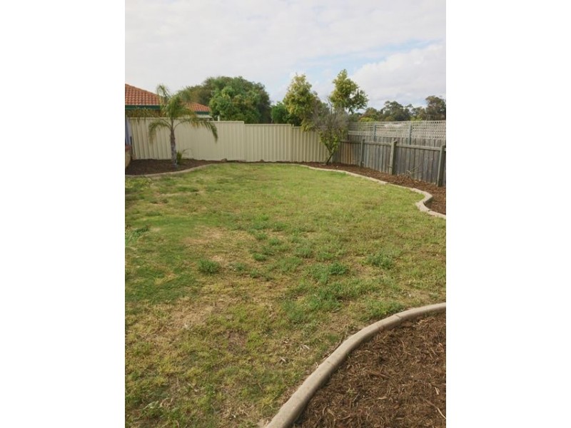 20 Whiston Crescent, Clarkson WA 6030