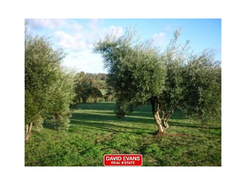 180 Karoborup Road, Carabooda WA 6033