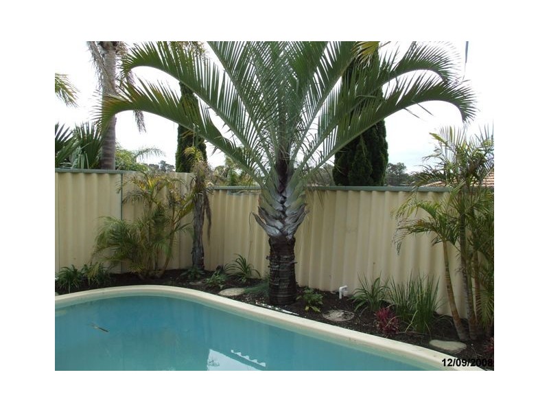 28 Frawley Ramble, Clarkson WA 6030