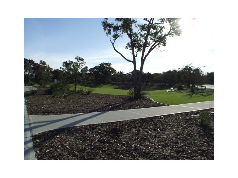 14 Willeroo Chase, Carramar WA 6031