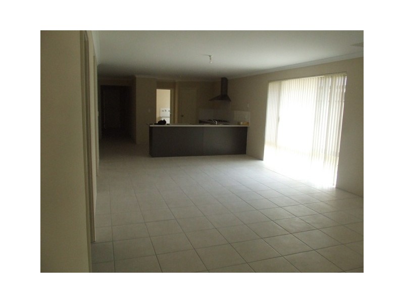 17 Tuxedo Link, Clarkson WA 6030