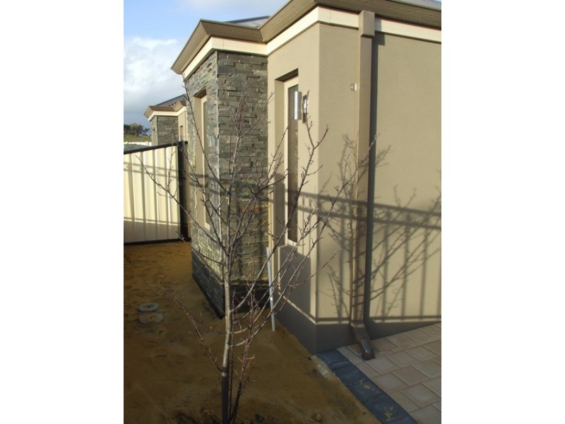 49 Capitol Turn, Clarkson WA 6030