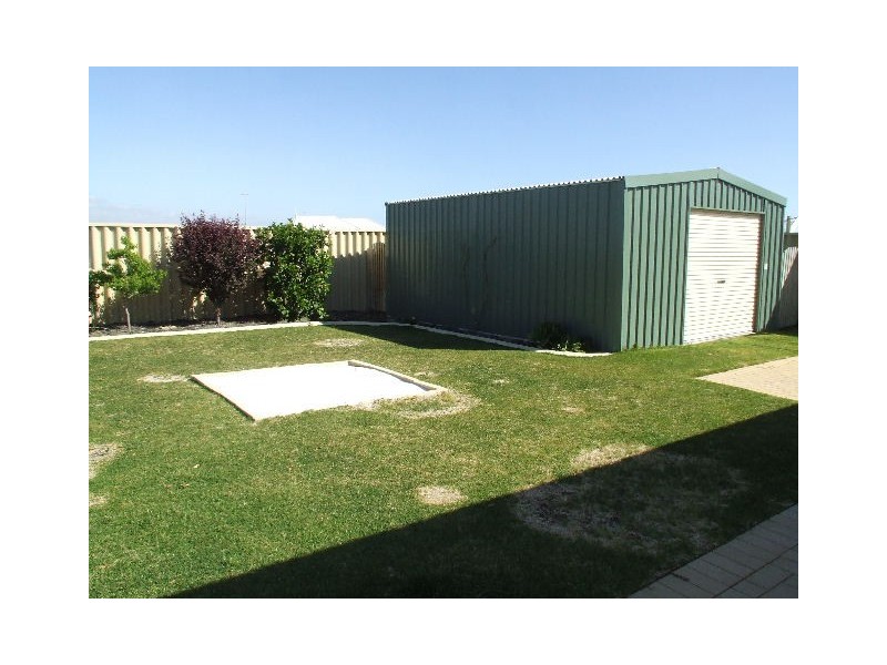 20 PENDLETON CRESCENT, Butler WA 6036