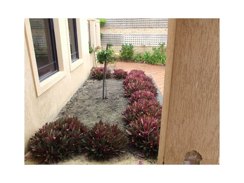 8 GALWAY COURT, Mindarie WA 6030