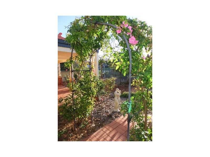 11 Frond Circuit, Banksia Grove WA 6031