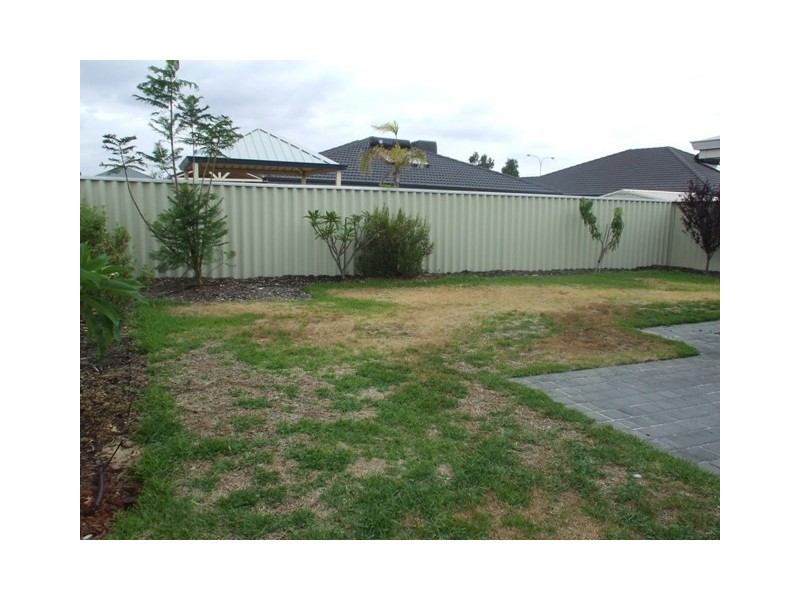 8 ALPINA PROMENADE, Banksia Grove WA 6031