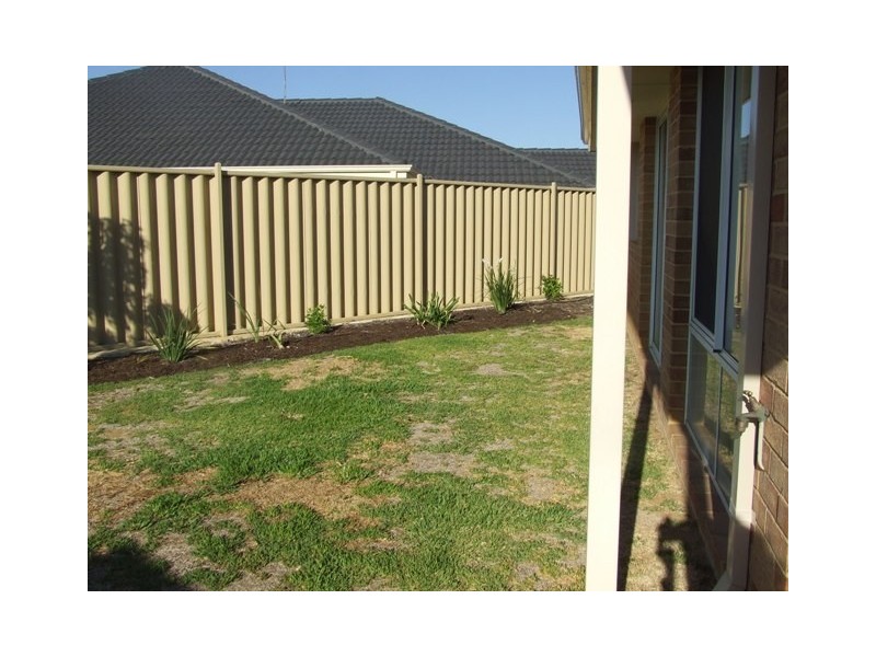 7 Dalry Cove, Butler WA 6036