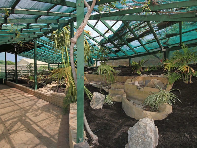 28 Galatea Grove, Two Rocks WA 6037