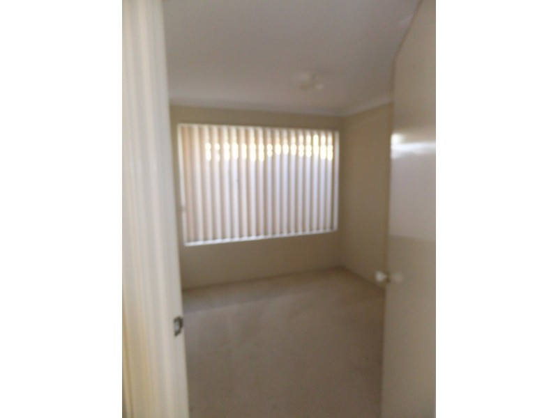 7 FROND CIRCUIT, Banksia Grove WA 6031