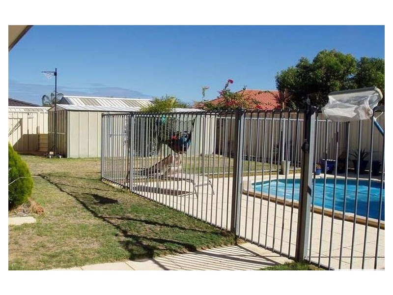 51 SELKIRK DRIVE, Kinross WA 6028