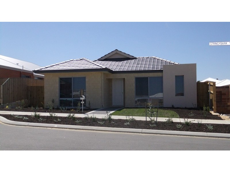 36 STRINGYBARK WAY, Yanchep WA 6035