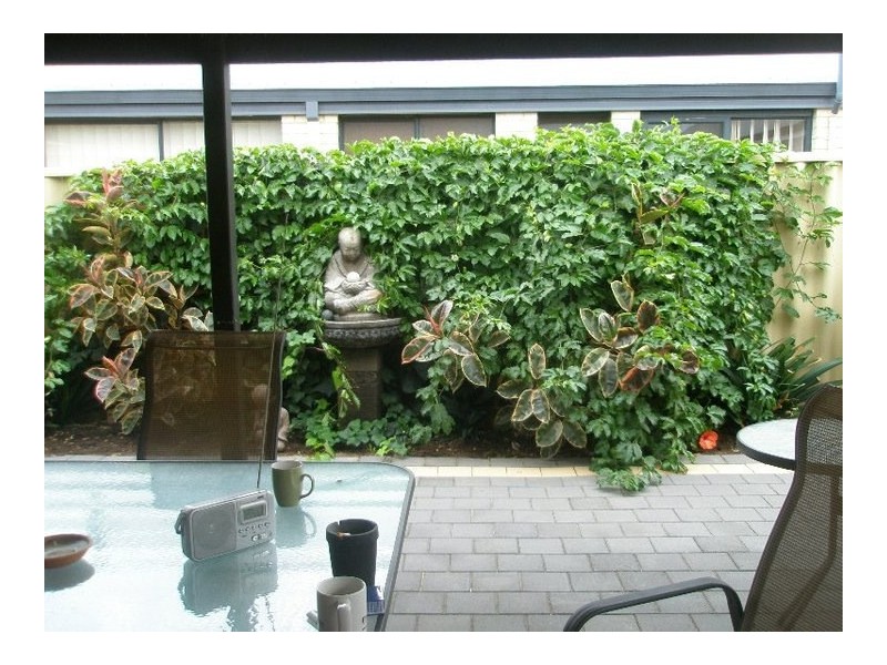 37 PISSARIO CRESCENT, Ashby WA 6065