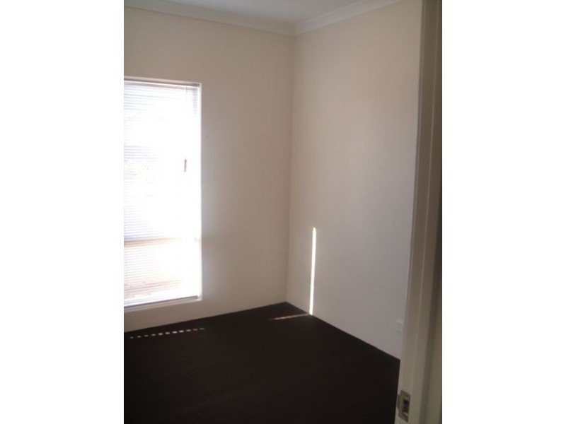 19 Bellini Gardens, Alkimos WA 6038