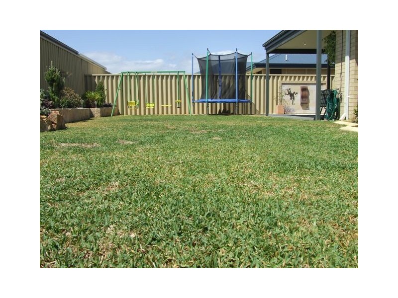 20 Neah Place, Butler WA 6036