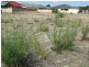Lot 246 Nankeen Circuit, Tapping WA 6065