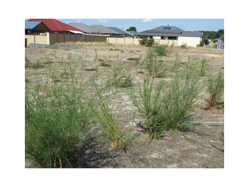 Lot 246 Nankeen Circuit, Tapping WA 6065