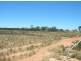 Lot 5466 Five Mile Gate Rd, Cunderdin WA 6407