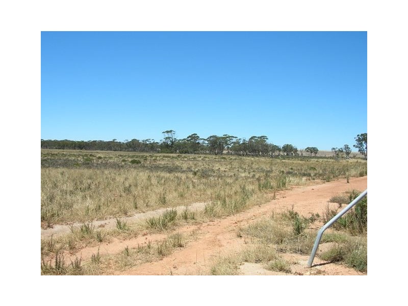 Lot 5466 Five Mile Gate Rd, Cunderdin WA 6407