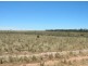 Lot 5466 Five Mile Gate Rd, Cunderdin WA 6407
