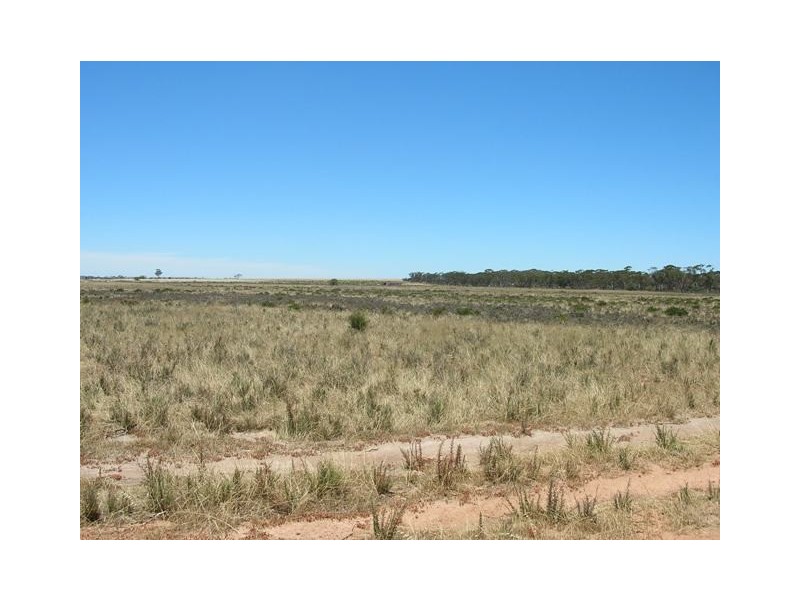 Lot 5466 Five Mile Gate Rd, Cunderdin WA 6407