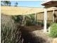 48 Ridgetop Trail, Bullsbrook WA 6084