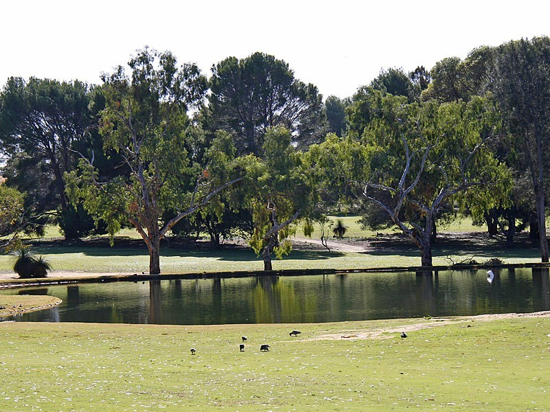 3 Mauna Court, Yanchep WA 6035