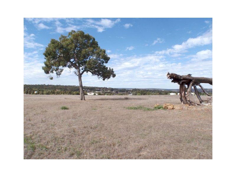 164  Ayrshire Loop, Lower Chittering WA 6084