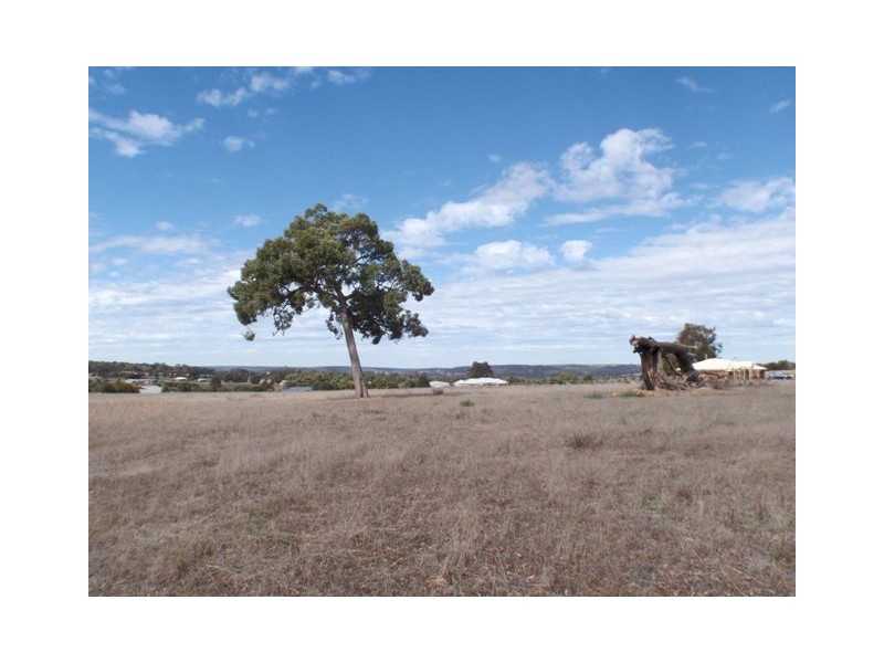 164  Ayrshire Loop, Lower Chittering WA 6084